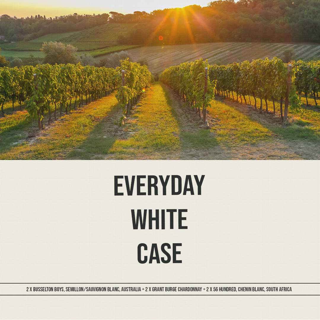 everyday-white-case